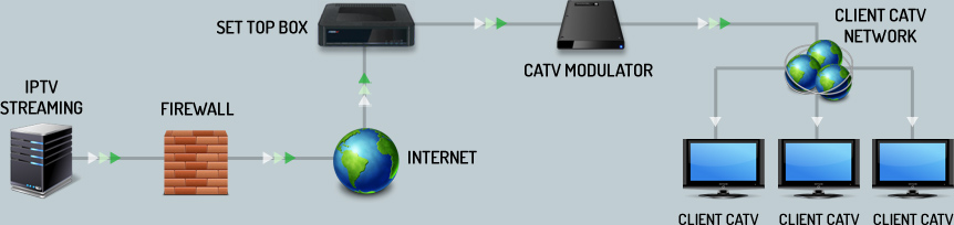 Network distribution